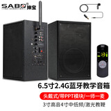 绅宝(SABO)2.4G无线蓝牙教学音响带话筒壁挂墙式多媒体教室有源音箱会议培训教师专用领夹式麦克风扩音 6.5英寸2.4g蓝牙领夹麦DL-903