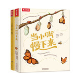 当小脚慢下来+如果你走在丛林里（套装2册）唯美治愈自然系科普绘本[3-6岁]Gucci 御用插画  儿童绘本