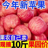 陕西红富士苹果脆甜新鲜水果当季冰糖心整箱 4.5斤装70mm-80mm