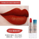 兰奕口红不沾杯不掉色防水持久保湿滋润素颜裸色显白减龄大牌女礼物 （兰奕501#）番茄红棕+口红雨衣