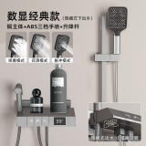 映生活 枪灰色钢琴按键淋浴花洒套装家用卫浴全铜简易分体式卫生间浴室 数显款枪灰色升降款