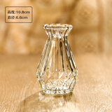 梵冈尬蒂北欧精致迷你玻璃花瓶水养鲜花装饰小花瓶感花器摆件 10钻石