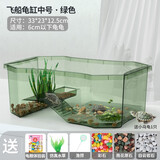 宠尚天 乌龟缸别墅生态饲养箱小乌龟活物活体龟盆宠物龟中华草龟 中号龟缸 绿 +大礼包+龟