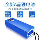 仪奢电动车电池48v锂电池全新电动自行车锂电池 48V12AH