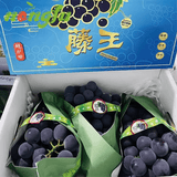 琦拉辽宁巨峰葡萄 鲜果5斤大颗粒 整串水果 应急孕妇儿童水果整箱 【精选水果】1串装2斤