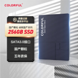 七彩虹(Colorful) 256GB SSD固态硬盘 SATA3.0接口 长江存储颗粒 SL500战戟国产系列