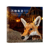 万物有灵：国际野生生物摄影年赛第52届获奖作品