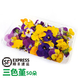 旷古农业【顺丰】新鲜摆盘装饰花草蛋糕装饰叶子点缀西餐酒店鲜花 三色堇1盒约50朵