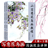 【2本套装】小写意花鸟画教程上下册 传统中国画技法详解皇甫秉钧绘画美术教材国画基础入门水墨画初学者