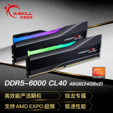 G.SKILL芝奇（G.SKILL）48GB(24Gx2) DDR5 6000 台式机灯条-焰锋戟RGB灯条/AMD EXPO/C40