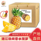 广东湛江徐闻香水菠萝 湛江大凤梨  生鲜时令水果礼盒 9斤整箱 大果 单果650g起 5斤【邮政助农快递】