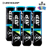 邓禄普（DUNLOP） 网球专业比赛训练登路普耐磨高弹性羊毛ATP胶罐铁罐 6筒 601333 四粒装 胶罐