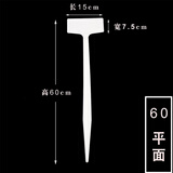 西普顿多种规格多种颜色塑料大号插地牌园艺标签园艺标识牌指示牌地插牌 平面60cm白色10个