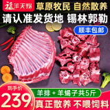 福羊天赐散养半只羊10斤 羊肉 生鲜 内蒙古锡盟羊腿羊排羊蝎子 年货礼盒 羔羊排2.5斤 + 羔羊蝎子2.5斤