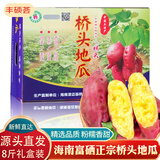 京地达海南桥头富硒地瓜净重8斤礼盒装单果约190g新鲜蔬菜源头直发包邮