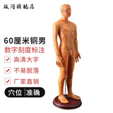 政河针灸穴位人体模型经络穴位模特图全身中医十二经络铜人可扎针小皮 旗舰款60厘米铜色男硬质款 手臂可转/数字刻度