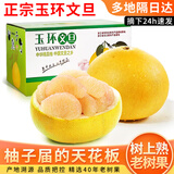 裕琼浙江玉环文旦柚老树柚子当季新鲜水果礼盒台州楚门红柚白心密柚 6斤大果精品装 约2个果