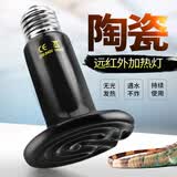爬将军陶瓷加热灯陆龟蜥蜴爬虫箱陶瓷保温灯宠物刺猬饲养箱爬宠鹦鹉用品 大陶瓷50w+长灯架