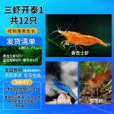 于家林子观赏虾活体虾鱼缸工具虾水族箱宠物虾水除藻虾清洁虾除藻虾淡水虾 三虾1-共12只