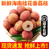 华味仙海南荔枝新鲜水果当季应季时令果蔬 荔枝 5斤