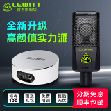 莱维特（LEWITT） LCT 240PRO电容麦克风声卡套装手机电脑主播直播k歌录音话筒设备全套 240PRO+IXI M2 PLUS II套装