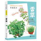 绘画技巧（香草）彩色铅笔绘画从入门到精通 自学彩铅画入门教程书