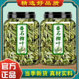 番石榴叶干货500g克中药材 潘石榴红心芭乐叶番石榴干叶子泡茶泡水 番石榴叶250g*2罐