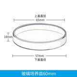 培养皿玻璃 加厚耐高温 细胞微生物平皿实验室耗材 60mm