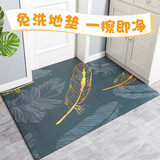 宝丽彩可擦洗地垫门垫进门入户门脚垫门口地垫家用客厅卫生间厨房防滑垫 羽毛空间 120*200cm大门口任意裁剪