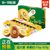 佳沛（zespri）预售 新西兰阳光金奇异果16-18粒原箱单果重约175-233g水果猕猴桃