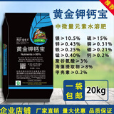海法•瑞慕丰以色列中微量元素水溶性肥料钙镁硫硼铁锰锌冲施肥钾钙宝20Kg