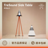 trettitre TTT | TreSound1 三分频HiFi蓝牙音箱 3T音响时尚HiFi家用 声学支架