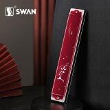 天鹅（SWAN）24孔复音口琴高级成人初学者专业演奏口琴C调国风设计（红色）