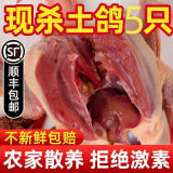 新鲜乳鸽 生鲜鸽子肉 农家土鸽冷冻煲汤烧烤三年老鸽子 乳鸽3只装(单只300g)