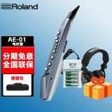 罗兰（Roland）罗兰电吹管电萨克斯SA 自带音源扬声器 AE01+定制包 +充电电池+配件礼包