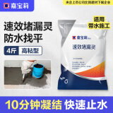 嘉宝莉（CARPOLY）堵漏灵水不漏堵漏王水泥砂浆防水涂料快干卫生间水管屋顶裂缝2kg 