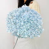 匠心绽放绣球干花永生花花束天然真花轻奢高档家居客厅装饰插花蓝色20271