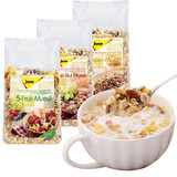 捷森（jason）德国原装进口捷森水果谷物葡萄干果仁混合燕麦片500g冲调麦片 三口味各一