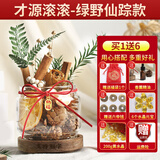 易水阁肉桂生财瓶子发招财香薰摆件肉桂香薰DIY干花材料乔迁新居装饰品 绿野仙踪款-才源滚滚2.0