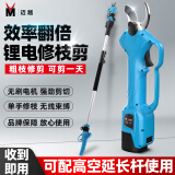 迈越 电动剪刀剪树枝果树高枝锯电动修枝剪电动农具 轻巧高枝剪套装【2电池+加长杆】