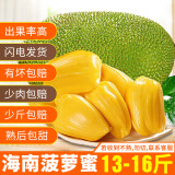 禧友鲜 海南菠萝蜜整个 黄肉干苞 波罗密 大树木菠萝 三亚当季新鲜水果 【回馈福利价】13-16斤|小果尝鲜