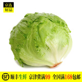 生菜球生菜 火锅食材 圆生菜 沙拉火锅 新鲜蔬菜 禾人 1枚装 1枚装