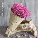 爱满（AIMAN） 鲜花真花天然满天星花束真花客厅家居装饰店面摆设小清新风花束 玫红满天星 含报纸+丝带