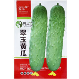 元井汇（YUANJINGHUI）蔬菜种子四季播盆栽阳台庭院香菜生菜菠菜小葱简单秋易种籽孑大全 翠玉黄瓜（约40粒）