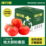 绿行者（GREER）桃太郎粉番茄 品牌果沙瓤生吃西红柿 自然熟新鲜水果蔬菜 桃太郎番茄 4.5斤