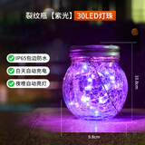 良合太阳能庭院灯户外防水小夜灯花园布置阳台装饰灯裂纹树挂灯氛围灯 经济款【包边30灯紫光】防水