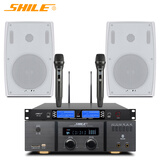 狮乐（SHILE）AV-2011B/BX-105会议音响套装组合蓝牙功放壁挂音箱无线话筒会议室音箱店铺背景音乐系统 AV2011B+SH28+BX102*2