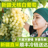 骄瑰新疆葡萄新鲜 吐鲁番无核白葡萄新疆三色玻璃脆马奶提子新鲜水果 新疆无核白葡萄 净重 4斤 带箱5斤 精品果【80%选择超划算】