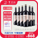 贺兰红宁夏贺兰山产区兰一酿酒师优选款干红葡萄酒2018750ml*6支 整箱装