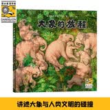 大象的旅程 儿童绘本3-6-9岁自然动物科普童书小学生课外书阅读书籍 